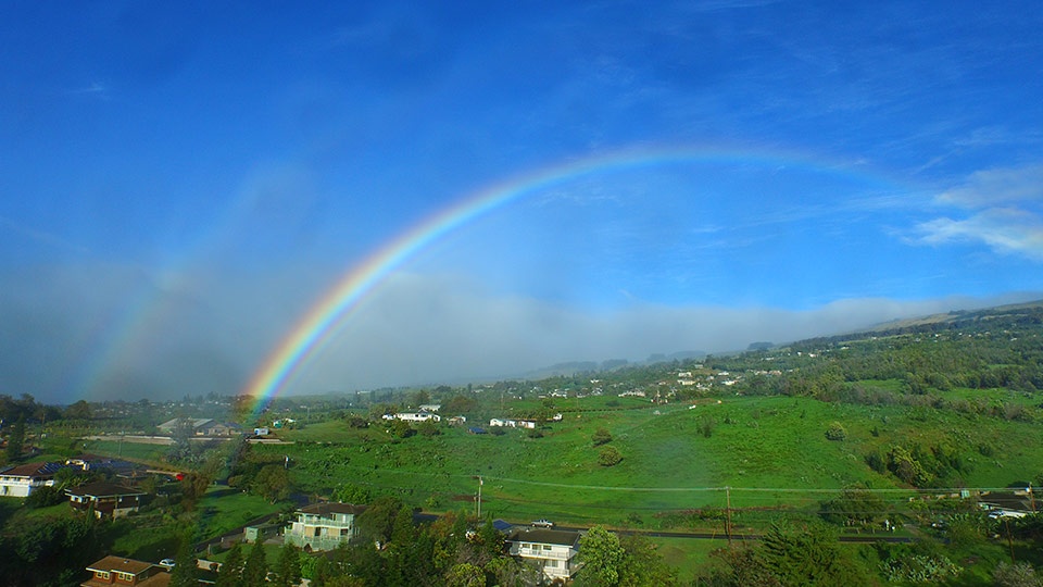 Best Maui Rainy Activities See Rainbow