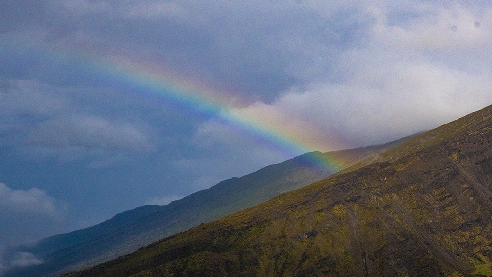 Best Maui Rainy Activities See Rainbow