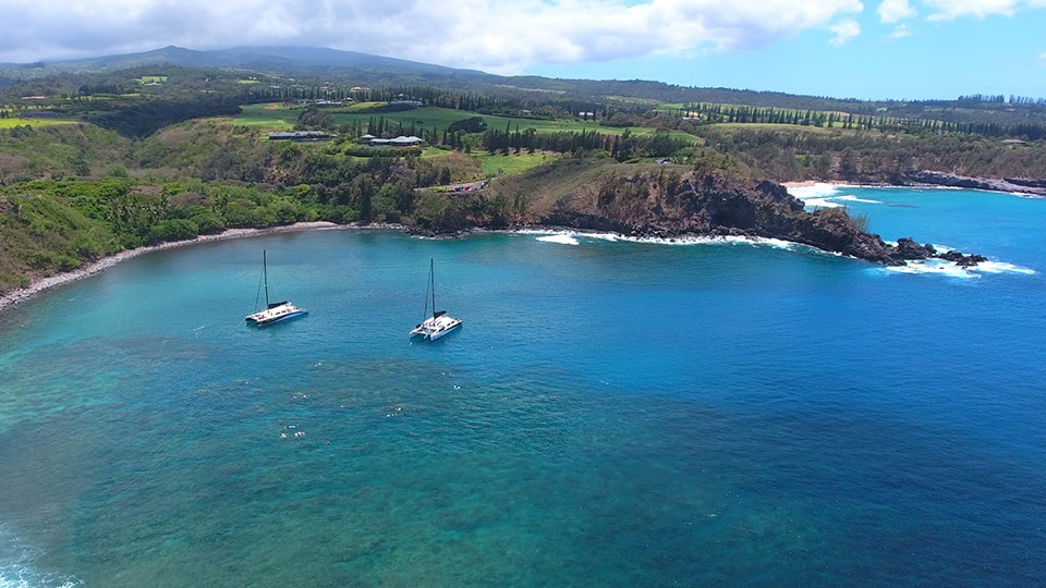 Napili Kapalua Activities Honolua Bay