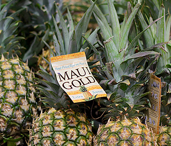 Best Hawaii Made Products Pineapple