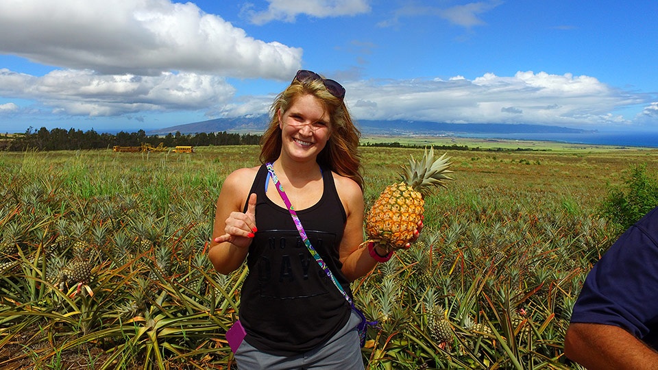 Best Hawaii Made Pineapple Plantation