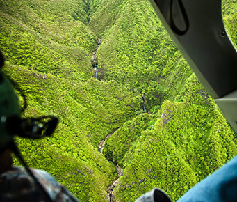 Best Activities Maui Kahului Wailuku Helicopter