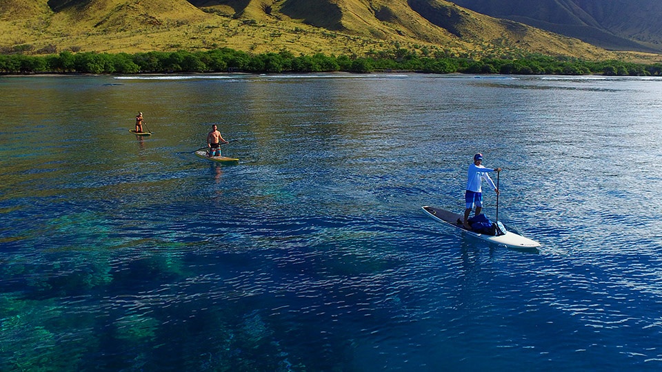 Best Kihei Activities Beginner Surfing