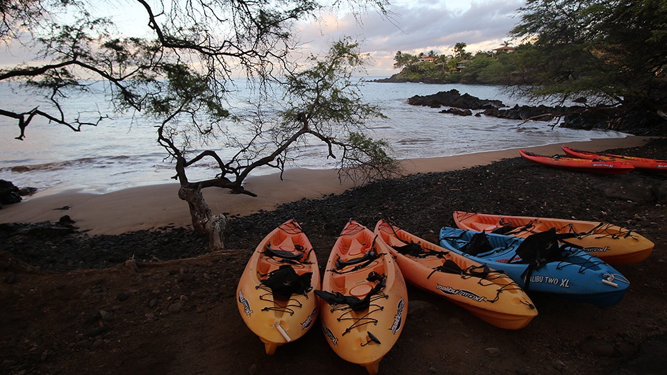 Best Kihei Activities Kayaks
