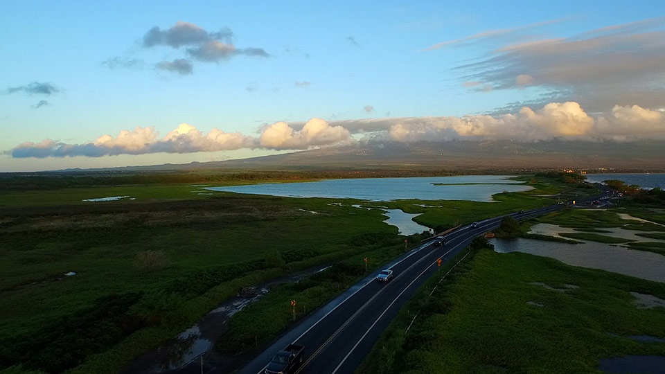 Best Kihei Activities Kealia Pond