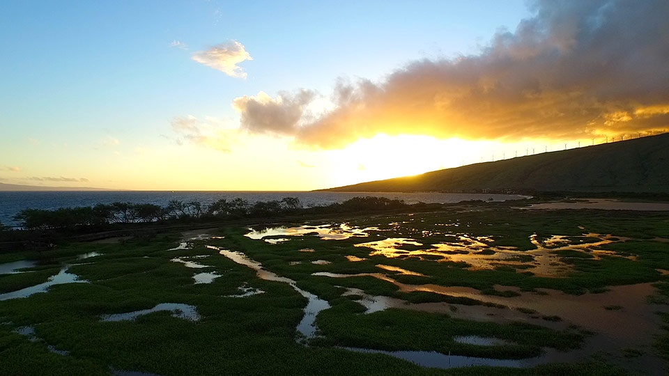 Best Kihei Activities Kealia Pond