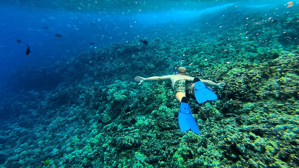 Best Kihei Activities Snorkeling