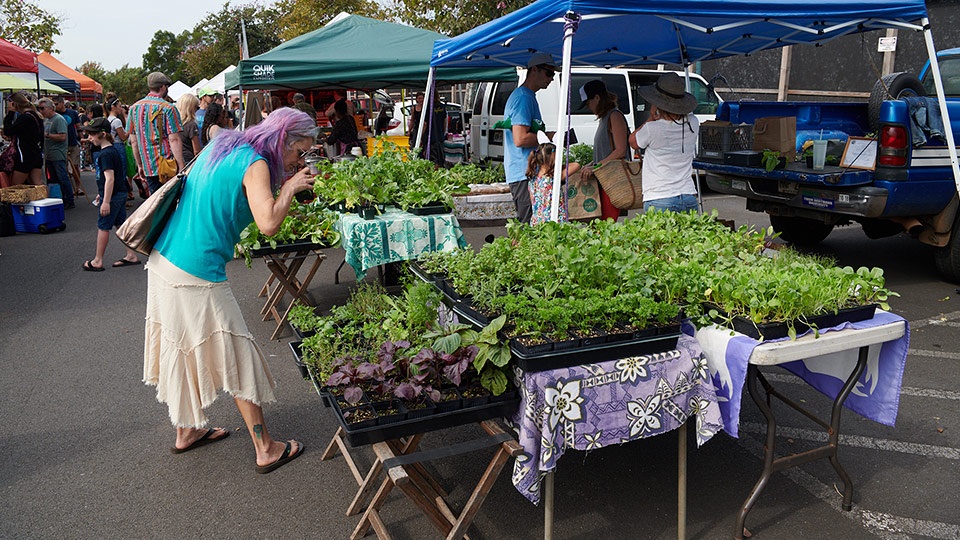 Best Upcountry Farmers Market Activity