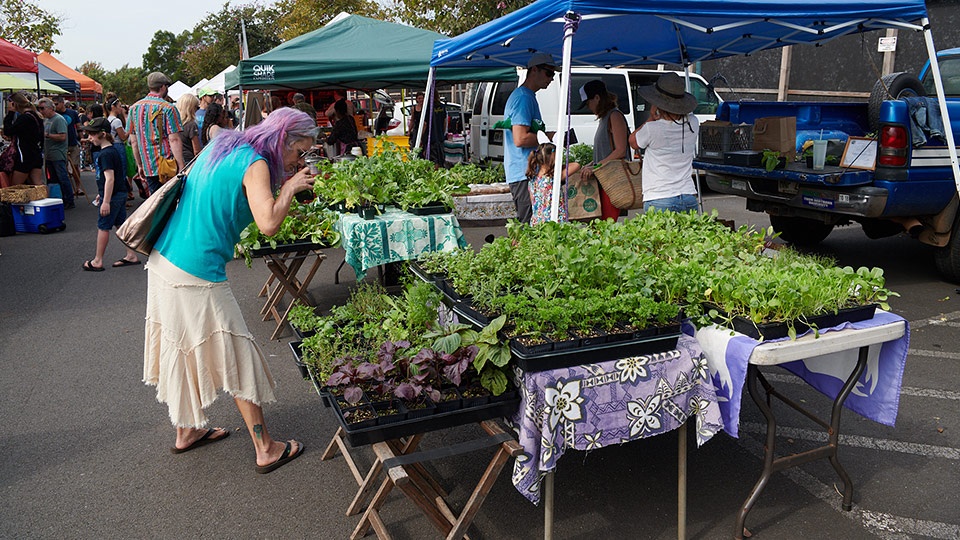 Upcountry Farmers Market - All You Need to Know BEFORE You Go (with Photos)