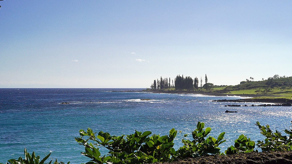 Best Hana Activities Hamoa Beach