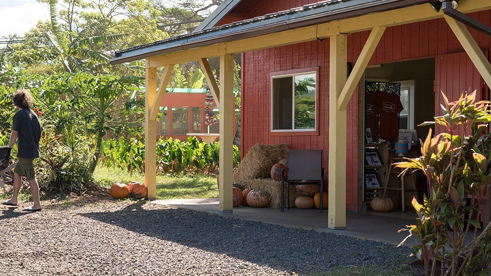 Best Maui Northshore Haiku Farm Stand