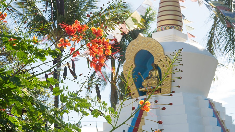 Best Maui Northshore Paia Stupa