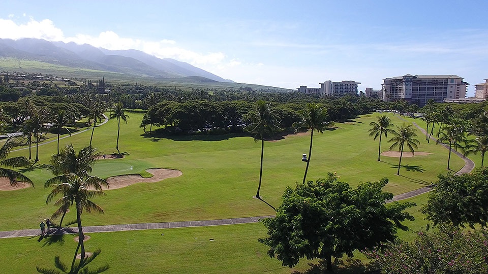 Best Maui Wailea Golfing