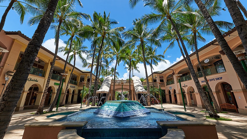 Best Wailea Activities Shops