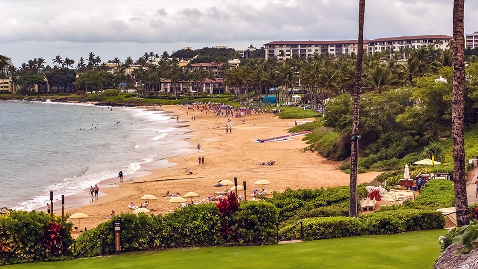 Best Maui Wailea Beach