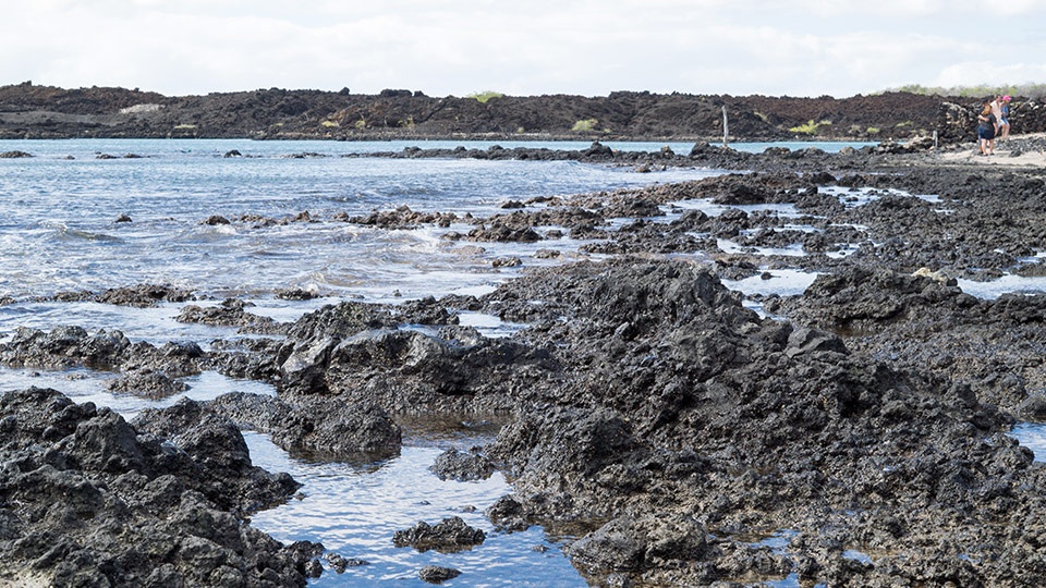 Best Maui Beach La Perouse Bay