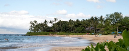 Top 15 Beaches in Maui | Best Maui Beaches Guide