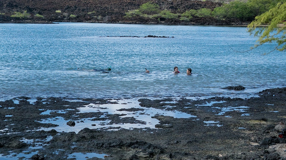 Best Maui Beach La Perouse Bay