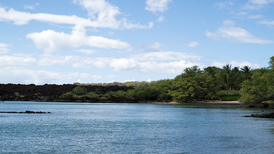 Best Maui Beach La Perouse Bay