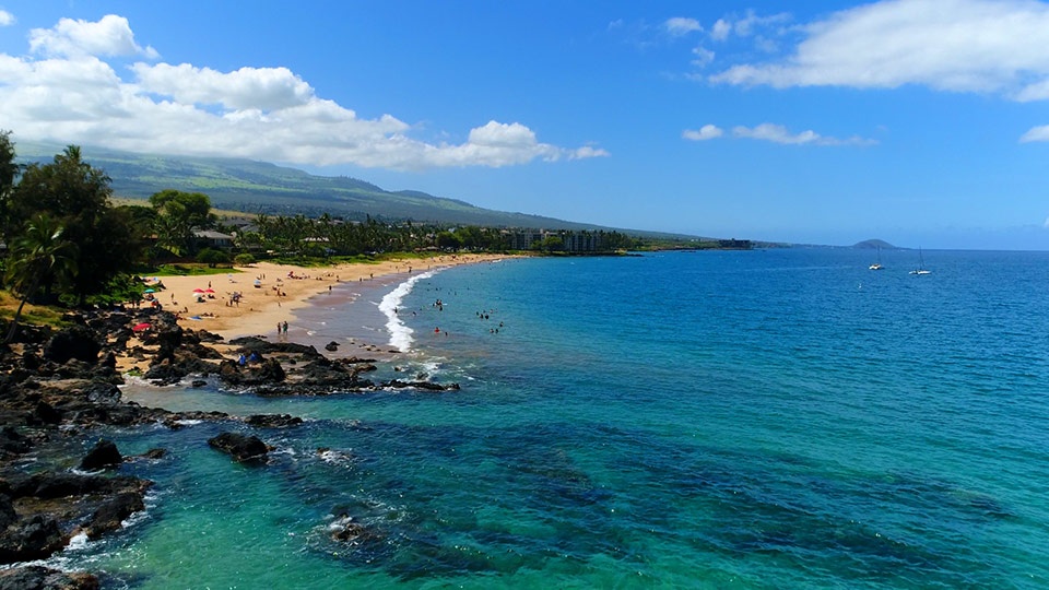 Best Maui Beach Charlie Young