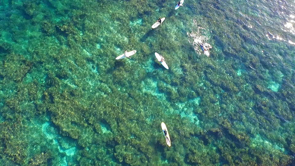 Best Maui Beach Hookipa