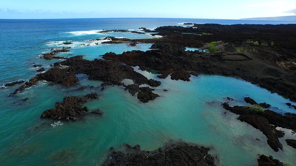 Best Maui Beach La Perouse Bay