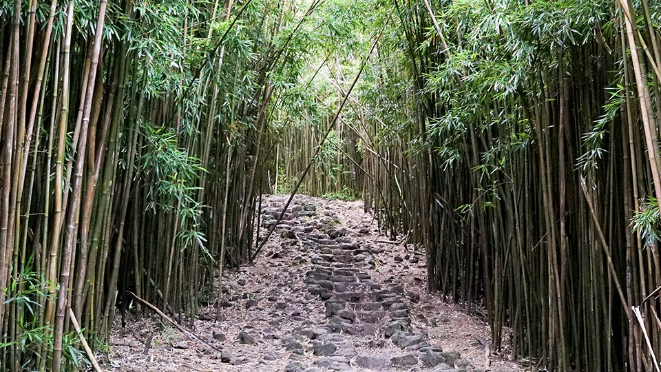 Seven Sacred Pools Best Road Hana