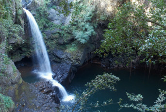 Seven Sacred Pools Best Road Hana