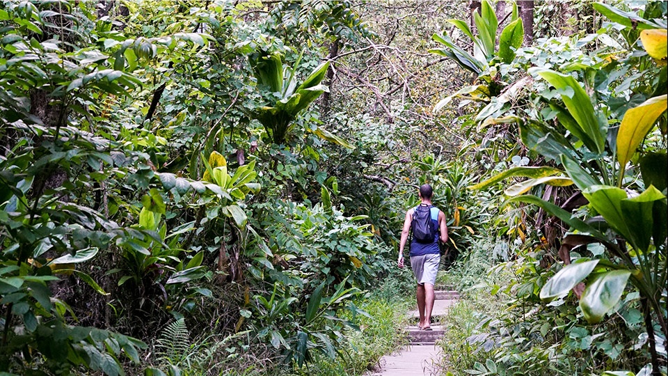 Best Hawaii Activities Hiking
