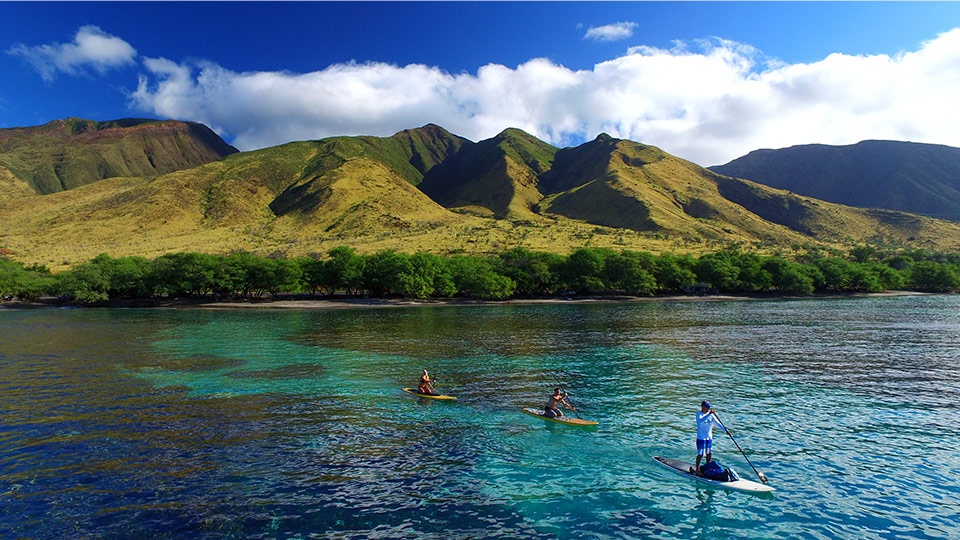 Best Hawaii Activities SUP