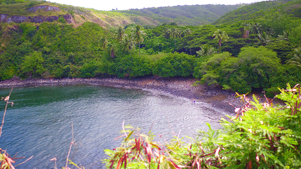 Maui Hawaii Best Snorkel Honolua Bay