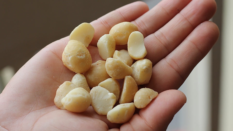 Best Hawaii Made Macadamia Nuts