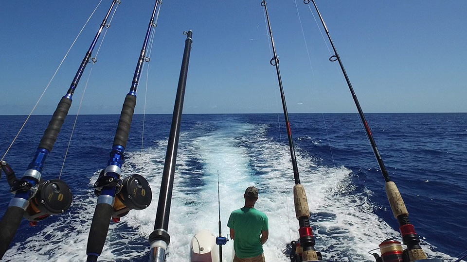 Best West Maui Sport fishing