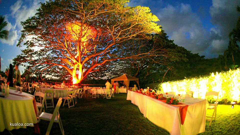 Kualoa Ranch Top Hawaii Wedding Location