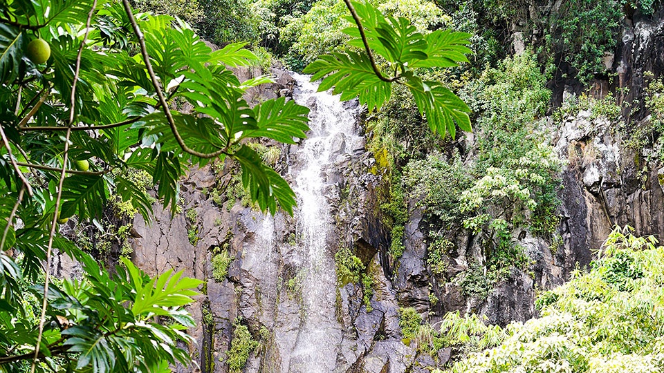 Wailua Falls Best Road Hana