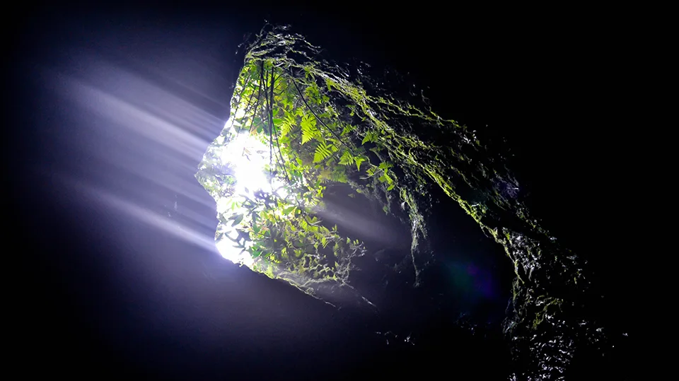 Sunlight beaming through an opening in Ka'eleku Cave (Hana Lava Tube) on Road to Hana, illuminating ferns and creating dramatic light rays.