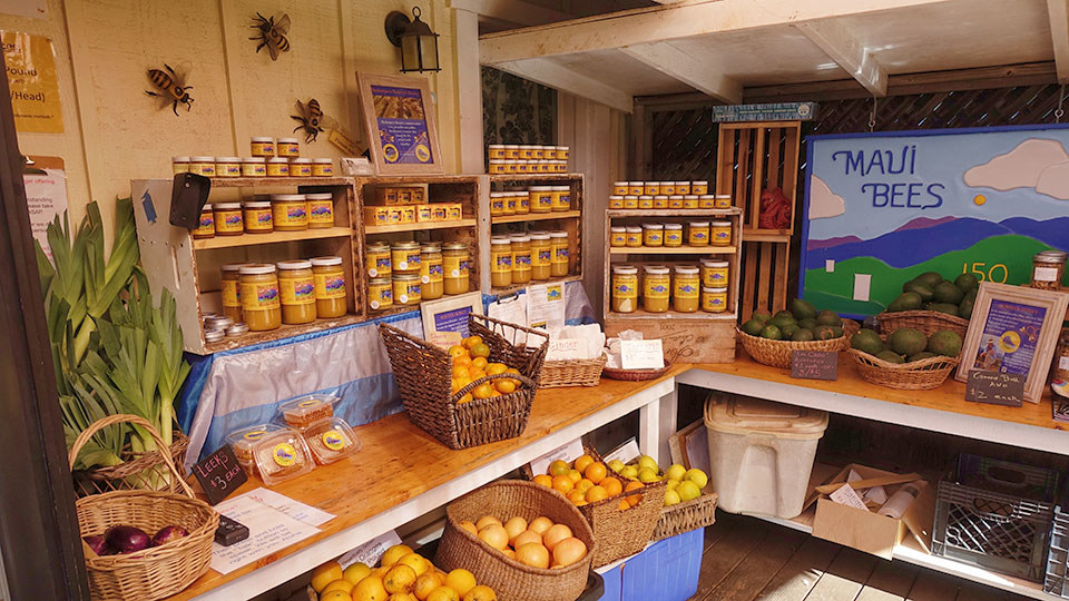 Top Organic Maui Bees Honey Fruit Nectar