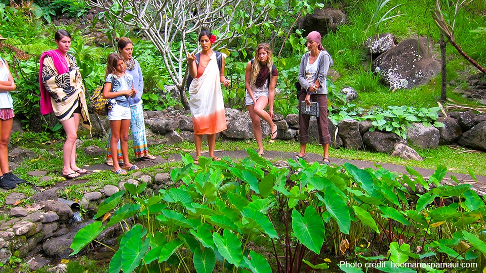 Top Holistic Ho'omana Spa Maui