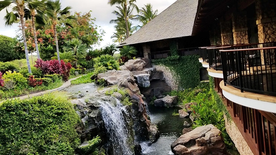 Maui Best Restaurants Hotel Wailea