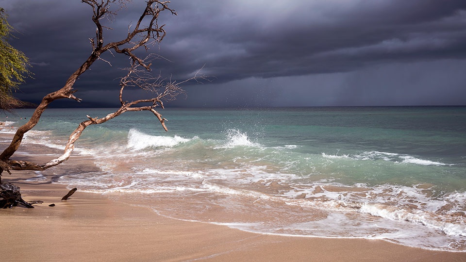 Maui Beach Safety Check Weather