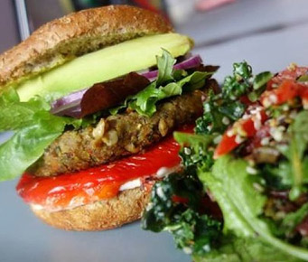 Best Organic Sandwich Food Salad