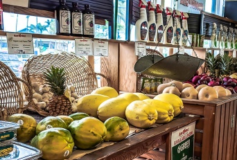 Top Maui All Organics Food Sources