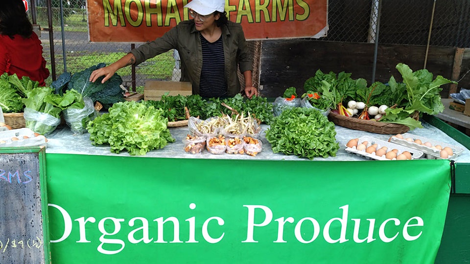 Vendor selling fresh organic produce at the Mohala Farms market table on Oahu