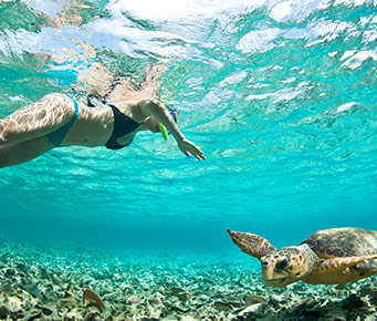 Best Maui Vacation Ocean Snorkel Activities