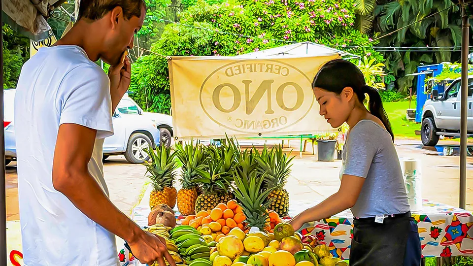 Visitors browsing pineapples, citrus, and tropical fruit at an Ono Organic Farms produce stand along the Road to Hana.