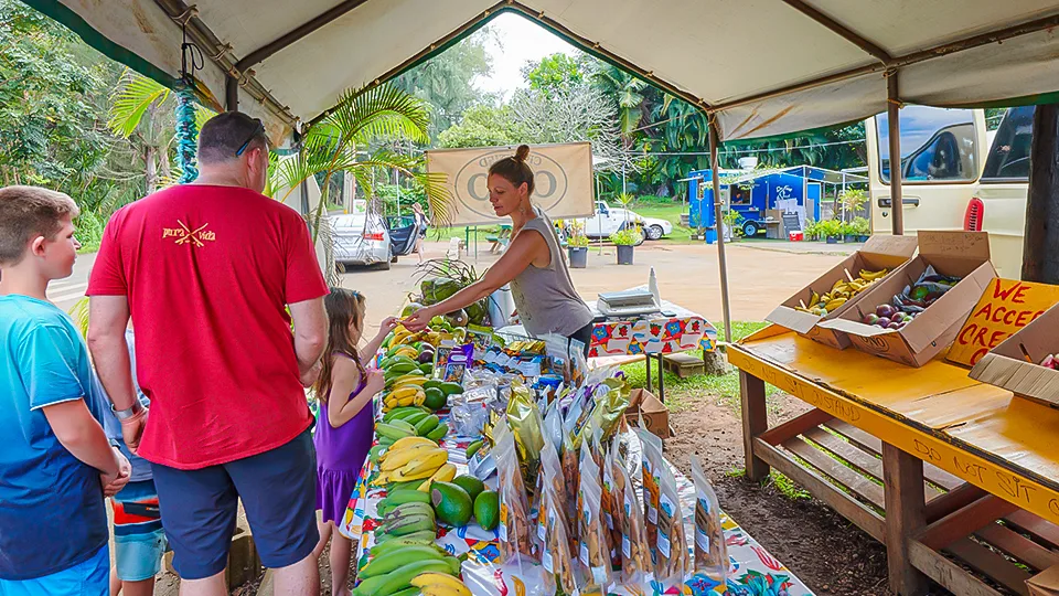 A family selecting bananas, papayas, avocados, and other fresh produce at an Ono Farms organic farm stand in East Maui.