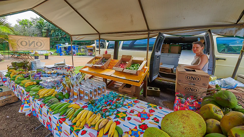 Table filled with bananas, papayas, citrus, and bottled products at an Ono Organic Farms roadside market in East Maui.