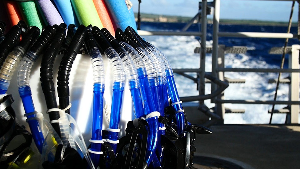 Maui Beach Snorkel Gear