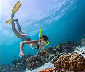 Where to Snorkel in Maui