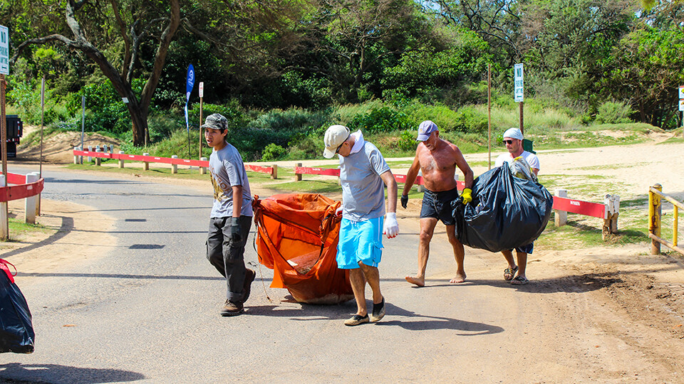 Save Hawaii Coral Reef Donate Time Volunteer